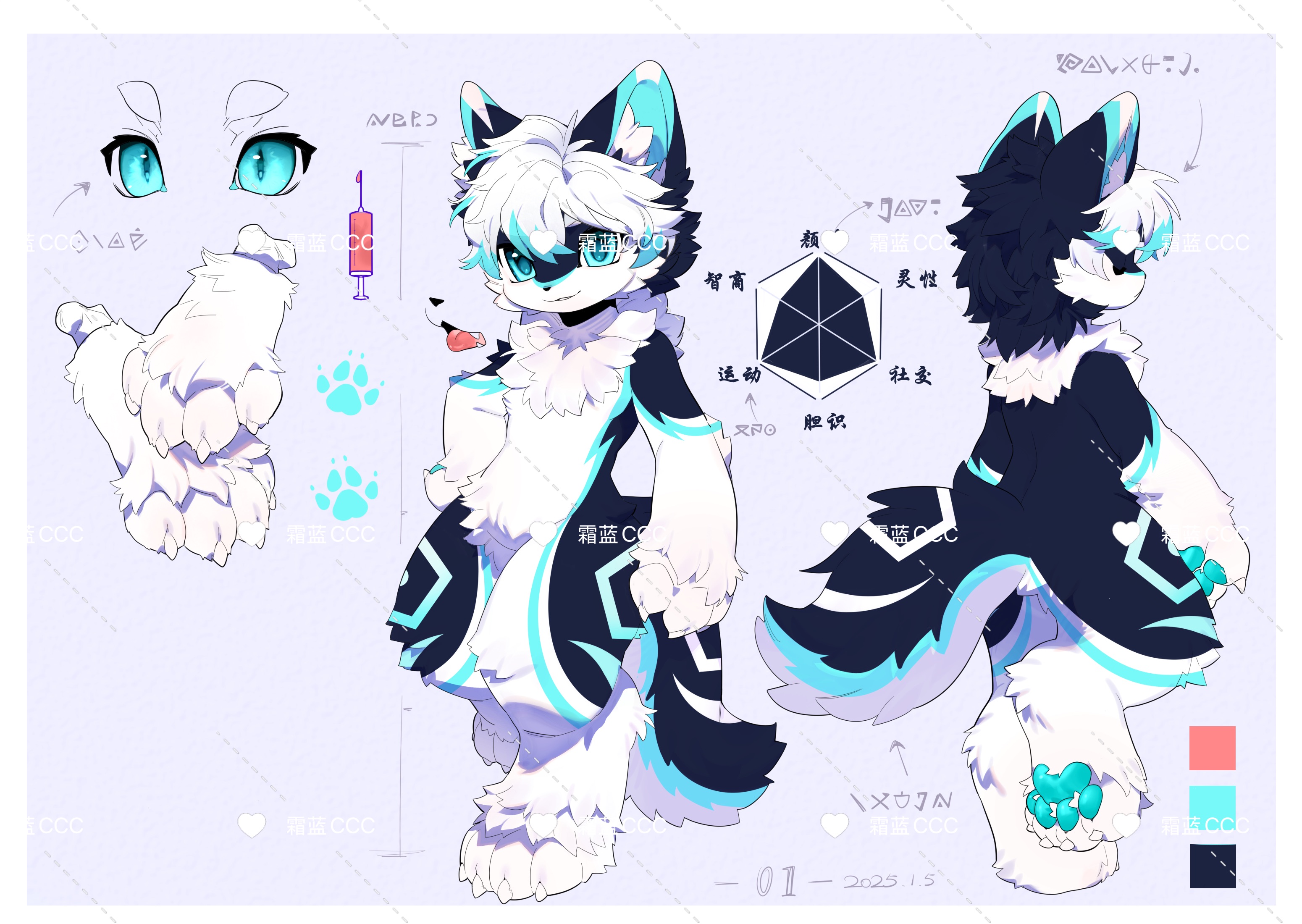 霜蓝双视图 - 有头发版